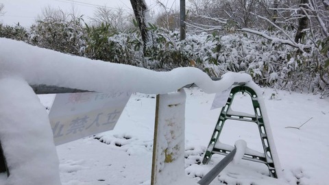雪の中、作業をしました