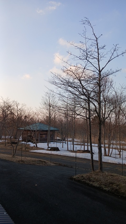 木こり、薪切り作業をしています