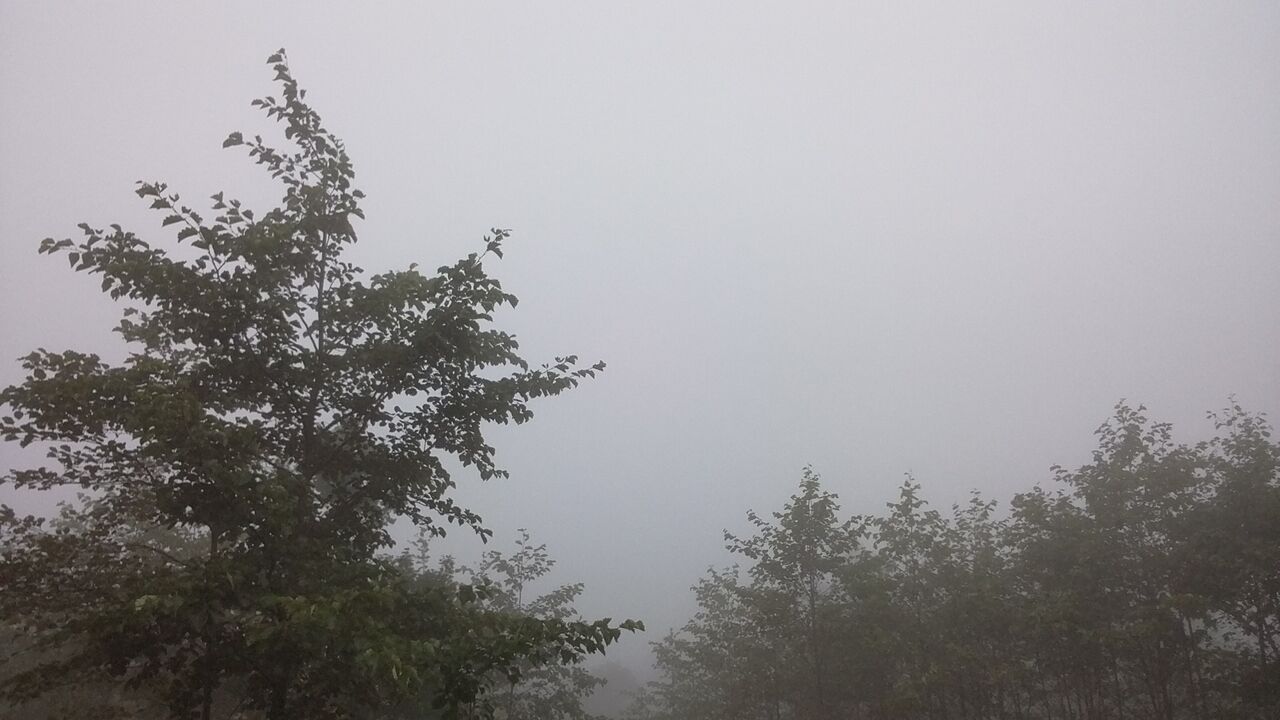 30日 曇りのち雨 休業しています 創業400年の老舗 宮城栗駒山 駒の湯温泉