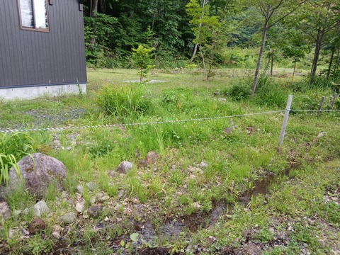 イノシシが増えて、クマに影響していないか…