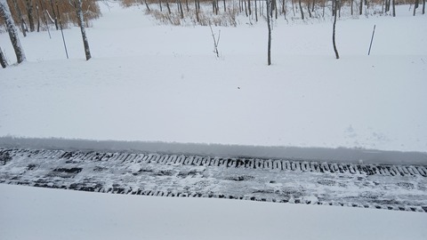 除雪しました