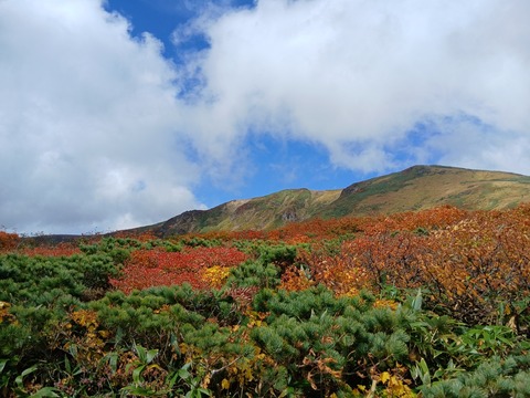 4日、シャトルバス初日に山に登りました