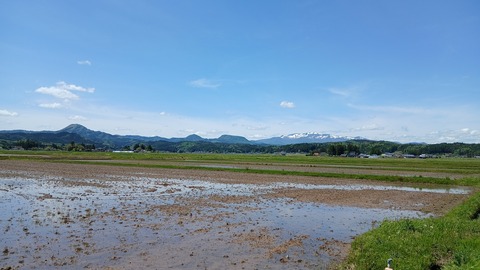 田植えが始まってきました…
