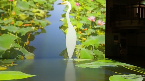 20260528_110946