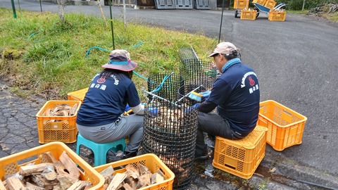 今日も作業しました。ありがとうございます。