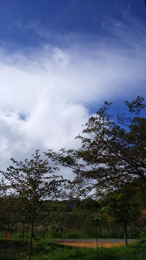 20190924122358