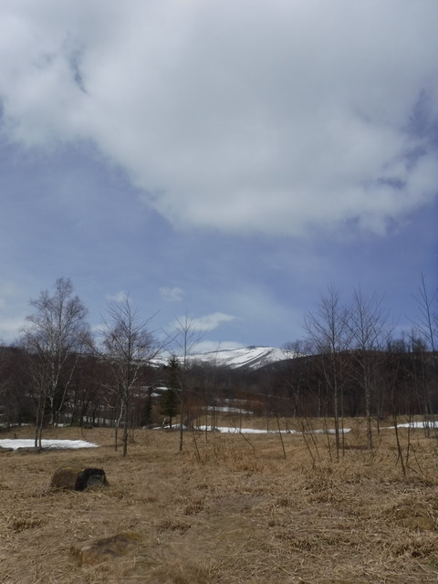 DSCF4239