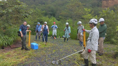 今日も草刈りをしました