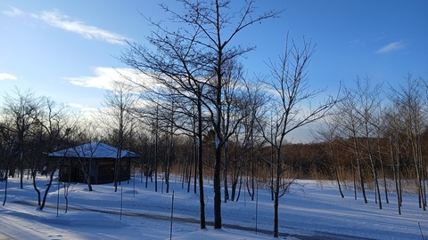 氷点下が続いています