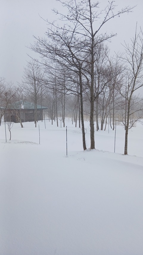 少し白くなりました