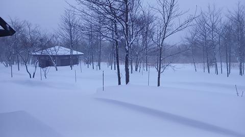 積雪量が70㎝になりました