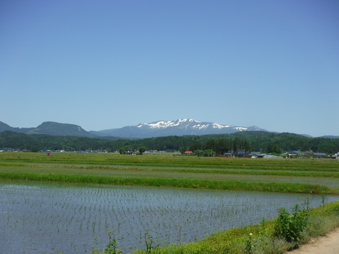 DSCF8716