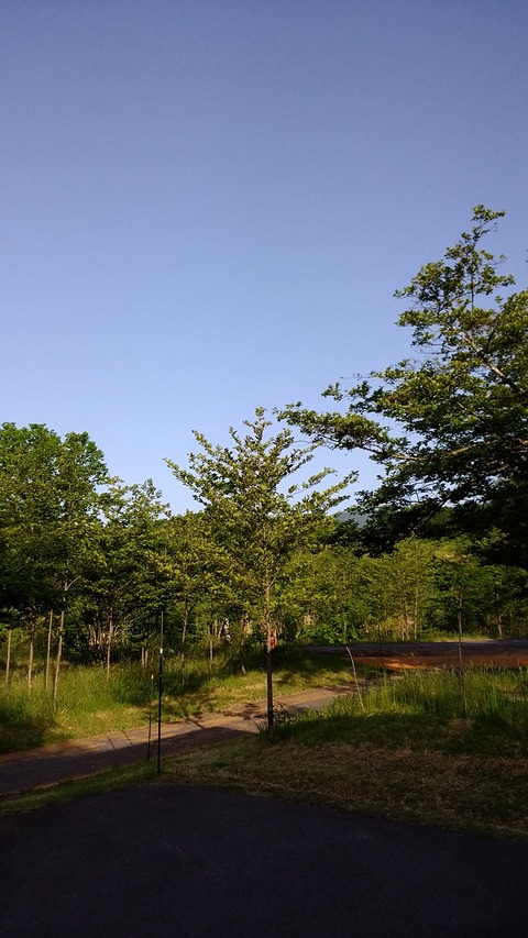 20200605061135