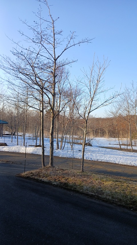 晴れ、寒い朝、乾燥、雪崩、霜注意報が出ています