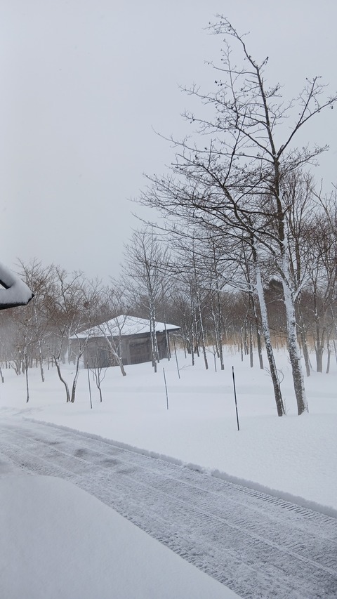大雪、風雪、雪崩、着雪注意報が出ています
