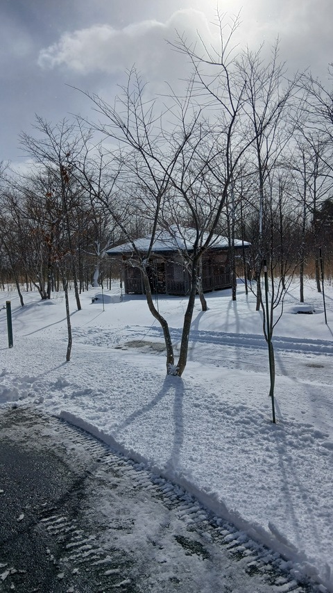 除雪が必要な山の生活…感謝です
