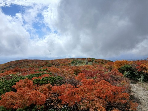 今年も紅葉が美しかったですね