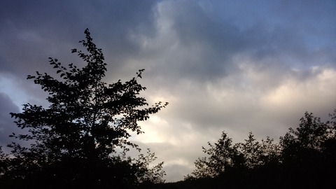 20200905065457