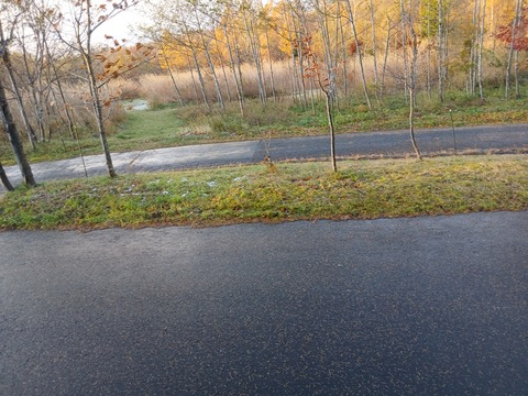 少しだけ白くなりました