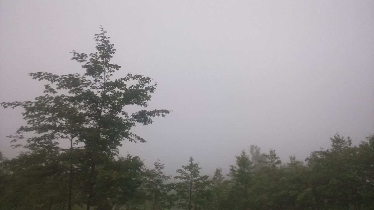 29日 曇りのち雨 営業します 創業400年の老舗 宮城栗駒山 駒の湯温泉