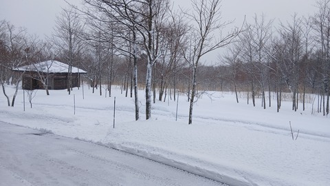 昨日は雪が降り続いて…大変でした…