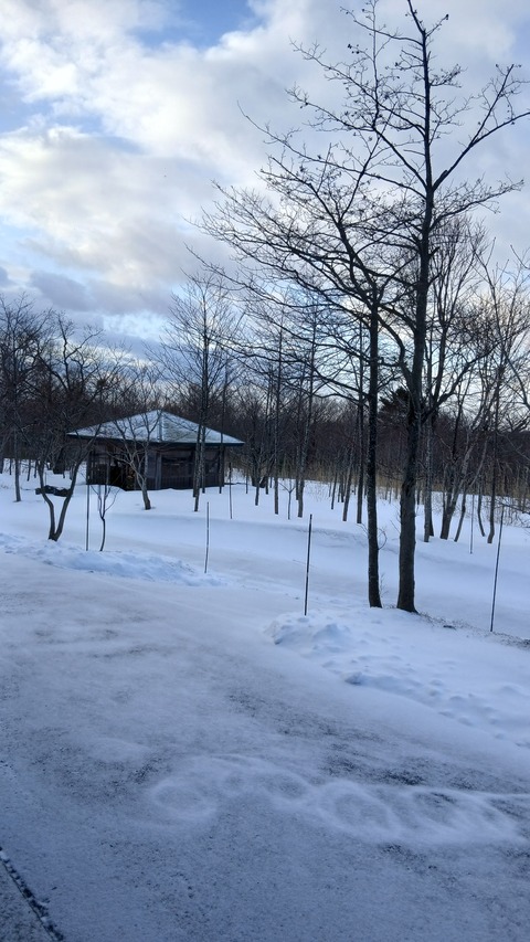 また、真っ白になりました…