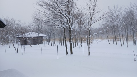 2026年もよろしくお願いします