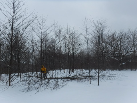 DSCF2768