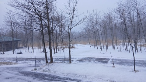 曇りのち晴れの予報ですが、風雪、濃霧注意報が出ています