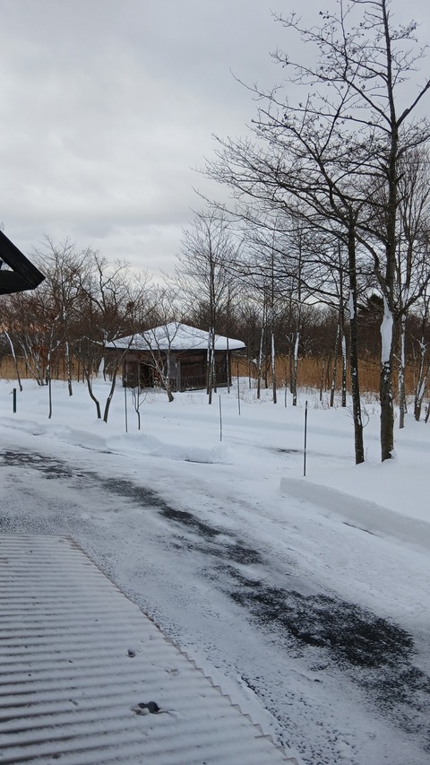 一日晴れの予報、30㎝に…