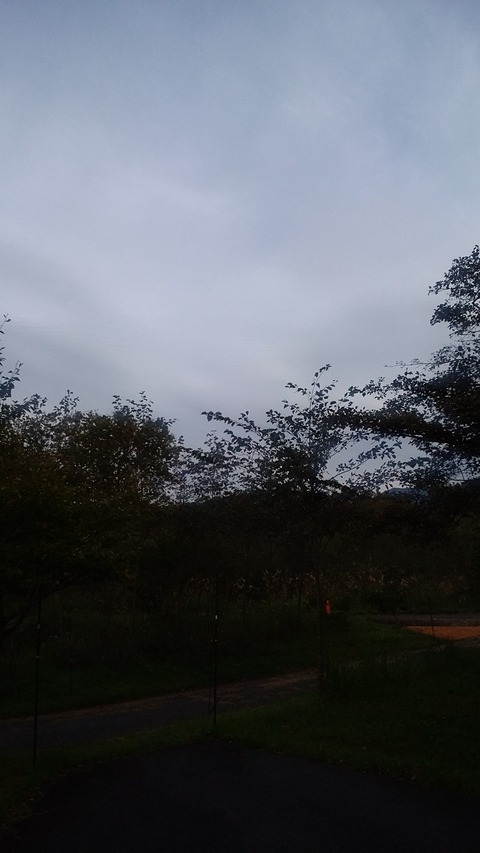 20201004065428