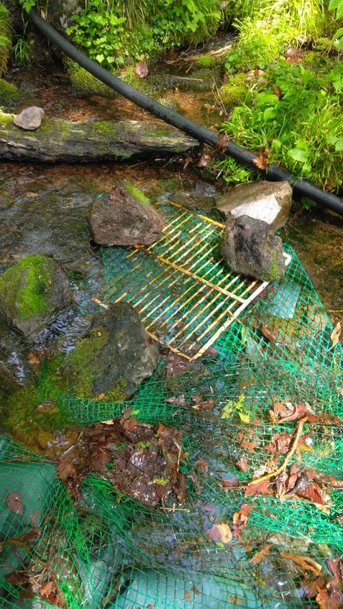今日は水源地の手入れをしました