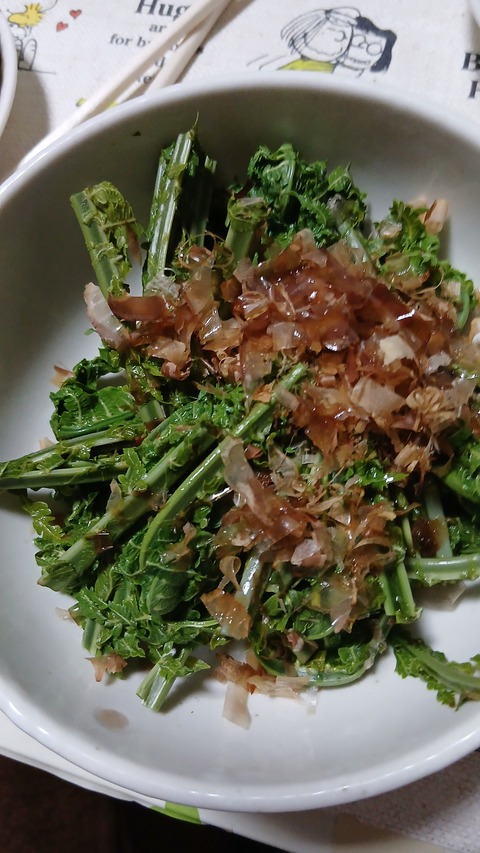 説明会がありました