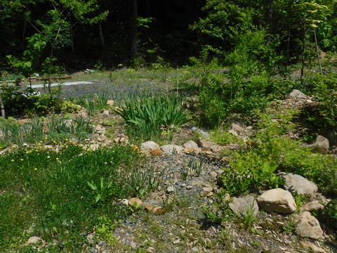 DSCF8726