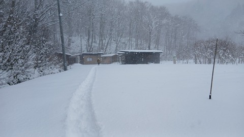 雪で視界が悪い中、お詣りに行ったら…