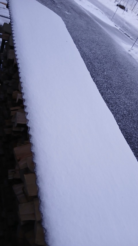 道路以外は白くなりました…