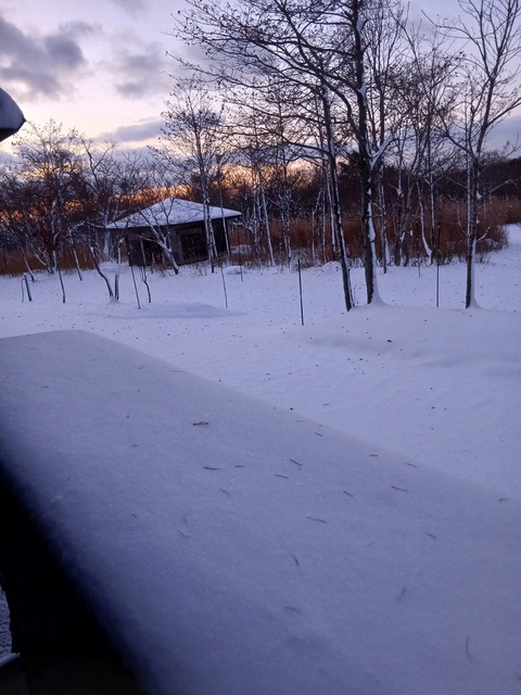 記録は12㎝、今は止んで8㎝に…