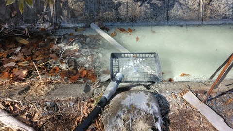 配管掃除に行きました