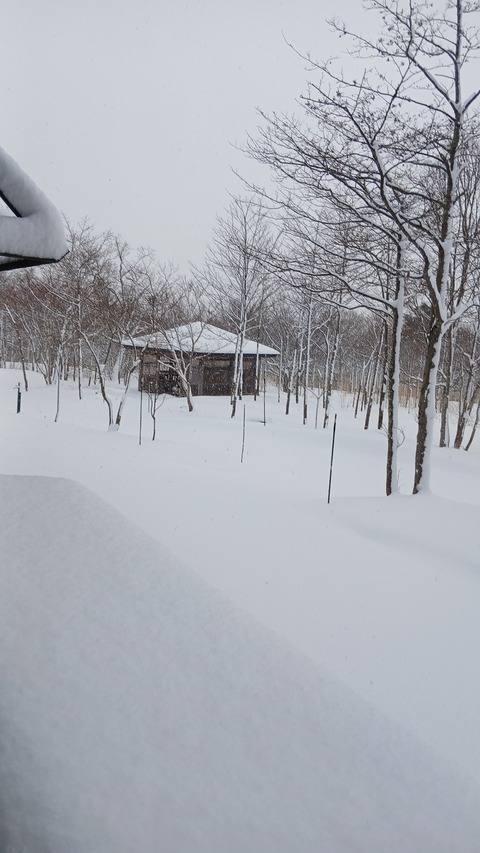 大雪、風雪、乾燥、雪崩、着雪注意報が出ています