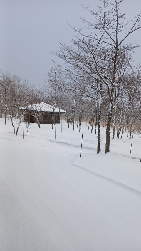 地区の新年会に行きました