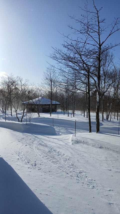 積雪86㎝が風で83㎝に…吹き溜まりができて…