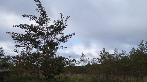 20190924070247