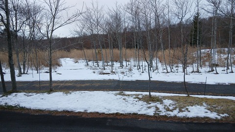 地震の被害はありませんでしたか？
