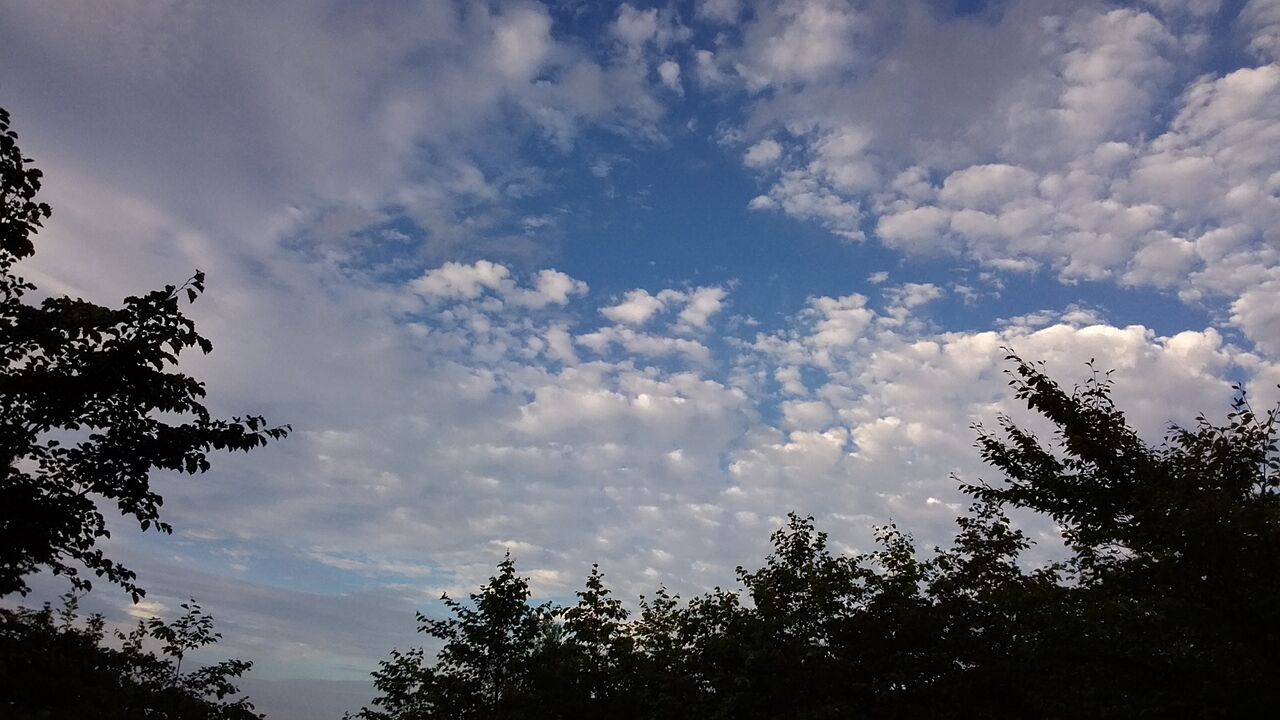 18日 晴れのち曇り 休業しています 創業400年の老舗 宮城栗駒山 駒の湯温泉