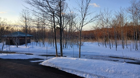今日は良い天気、寒いです