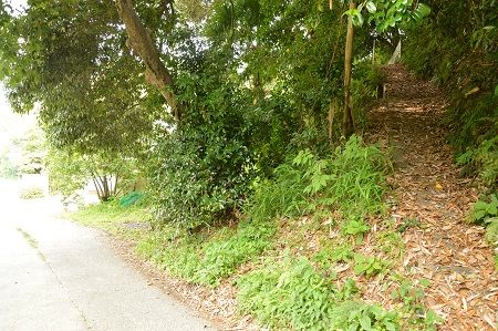 交野市傍示のフットボール地蔵 彫物名鑑 小松堂 交野市傍示のフットボール地蔵 彫物名鑑 小松堂