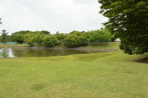 b9_0068 (2)