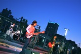 THE MAYFLOWERS 1