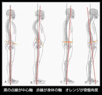 身体のバランスを整えたい コマッタオタクの婚活ブログ