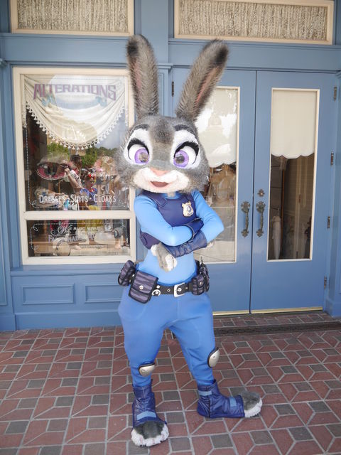 夏の香港ディズニーランドにいってきた ホップス巡査とグリ こまったさん家のどこいこ日記 夏の香港ディズニーランドにいってきた ホップス巡査とグリ こまったさん家のどこいこ日記